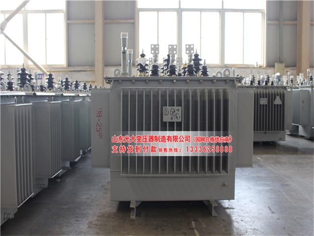 巴彦淖尔S22-4000KVA油浸式变压器